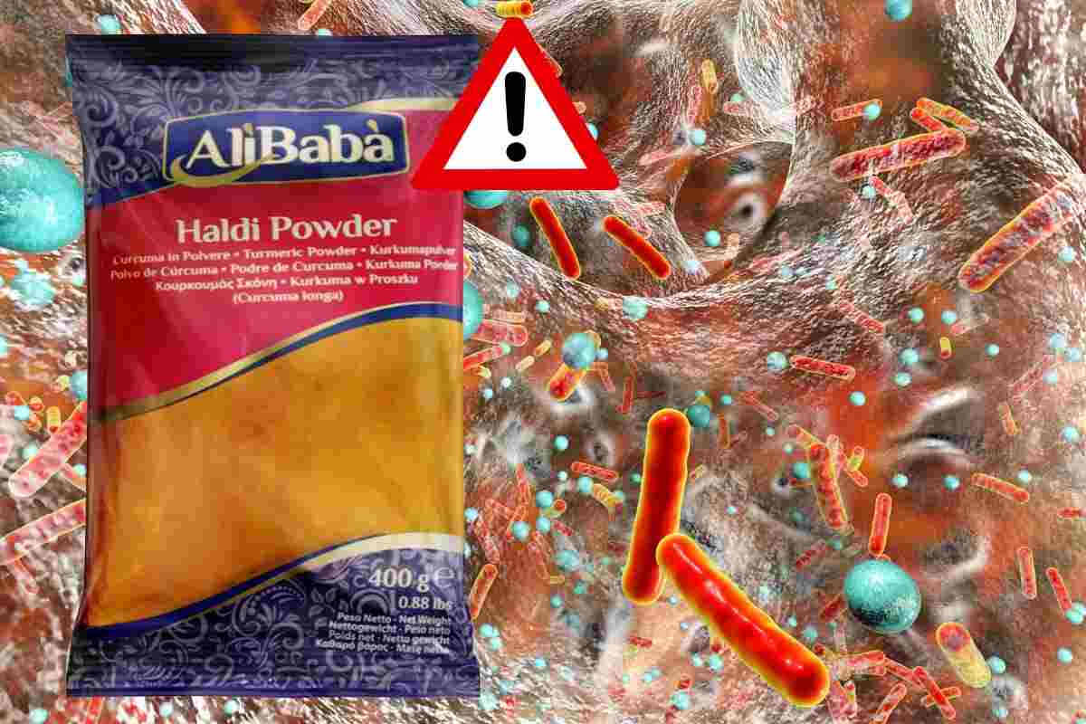 salmonellosi richiamo alimentare curcuma 