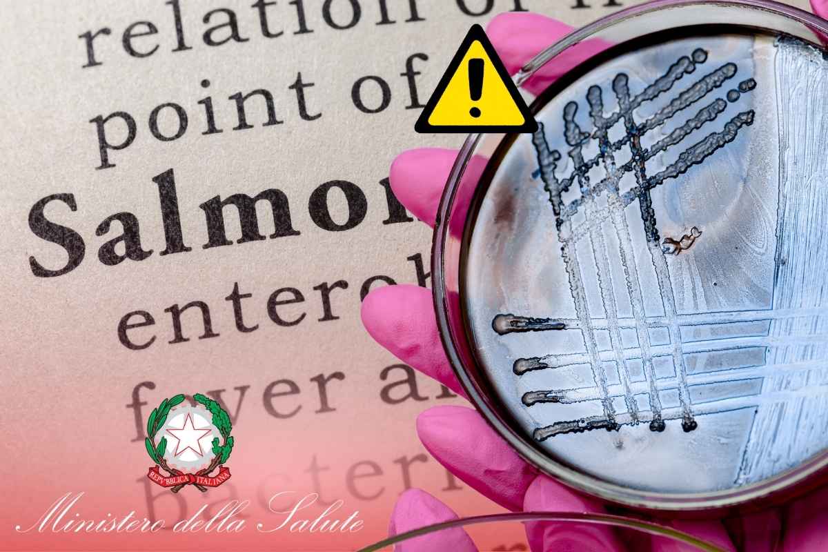 Salmonella in un prodotto proveniente dall’India: il richiamo alimentare che spaventa gli amanti della cucina etnica